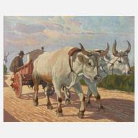 Desiderio Tanfani, Ungarisches Ochsenfuhrwerk111