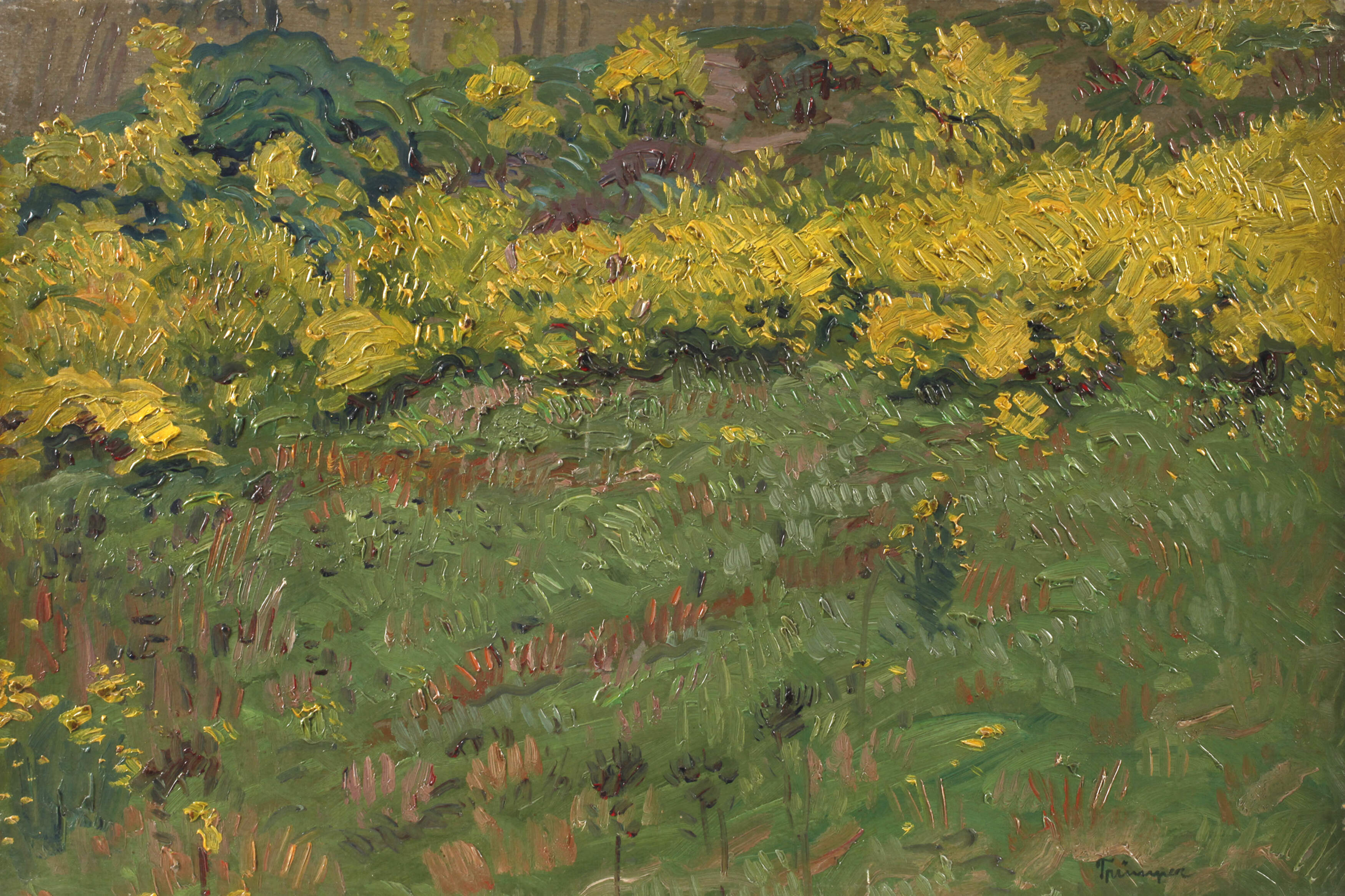 August Trümper, Gartenecke