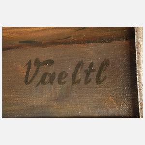 Otto Vaeltl, Sommerblumenstrauß