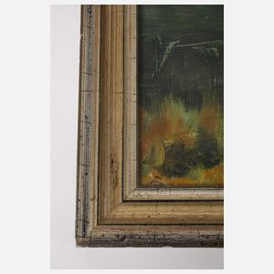 Willroider, Seelandschaft