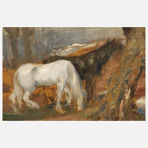 Pferde in vorfrühlingshafter Landschaft