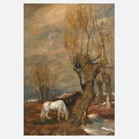 Pferde in vorfrühlingshafter Landschaft111