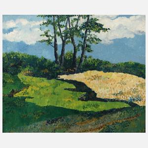 Baumgruppe in Sommerlandschaft