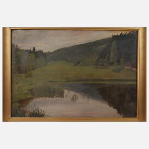 Teich in Sommerlandschaft