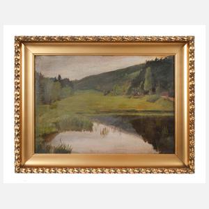 Teich in Sommerlandschaft