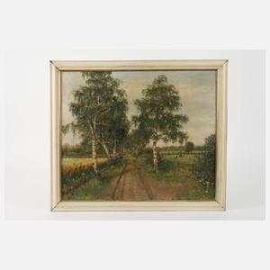 Birkenallee im Sommer