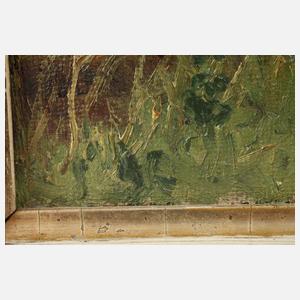 Birkenallee im Sommer