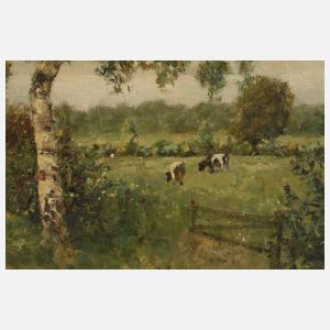 Birkenallee im Sommer