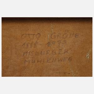 Birkenallee im Sommer