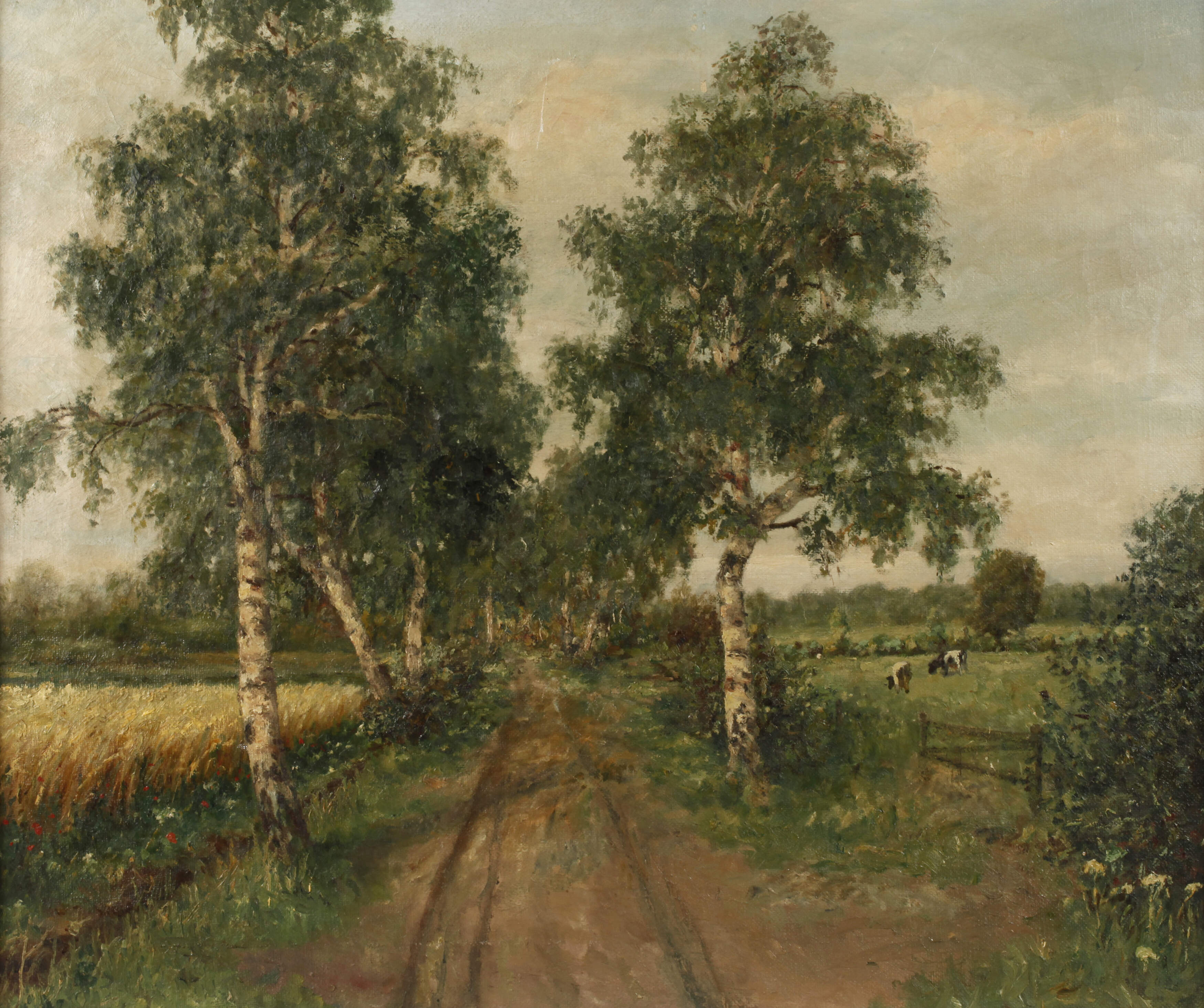 Birkenallee im Sommer