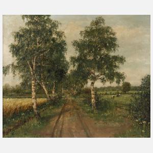 Birkenallee im Sommer