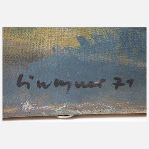 Blick auf den Magdeburger Dom