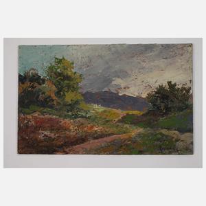 Konvolute Landschaftsgemälde