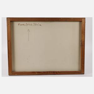 Ehrenfried Viola, Vier Mischtechniken