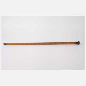 Spazierstock Horn