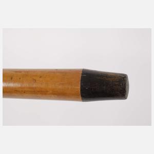 Spazierstock Horn