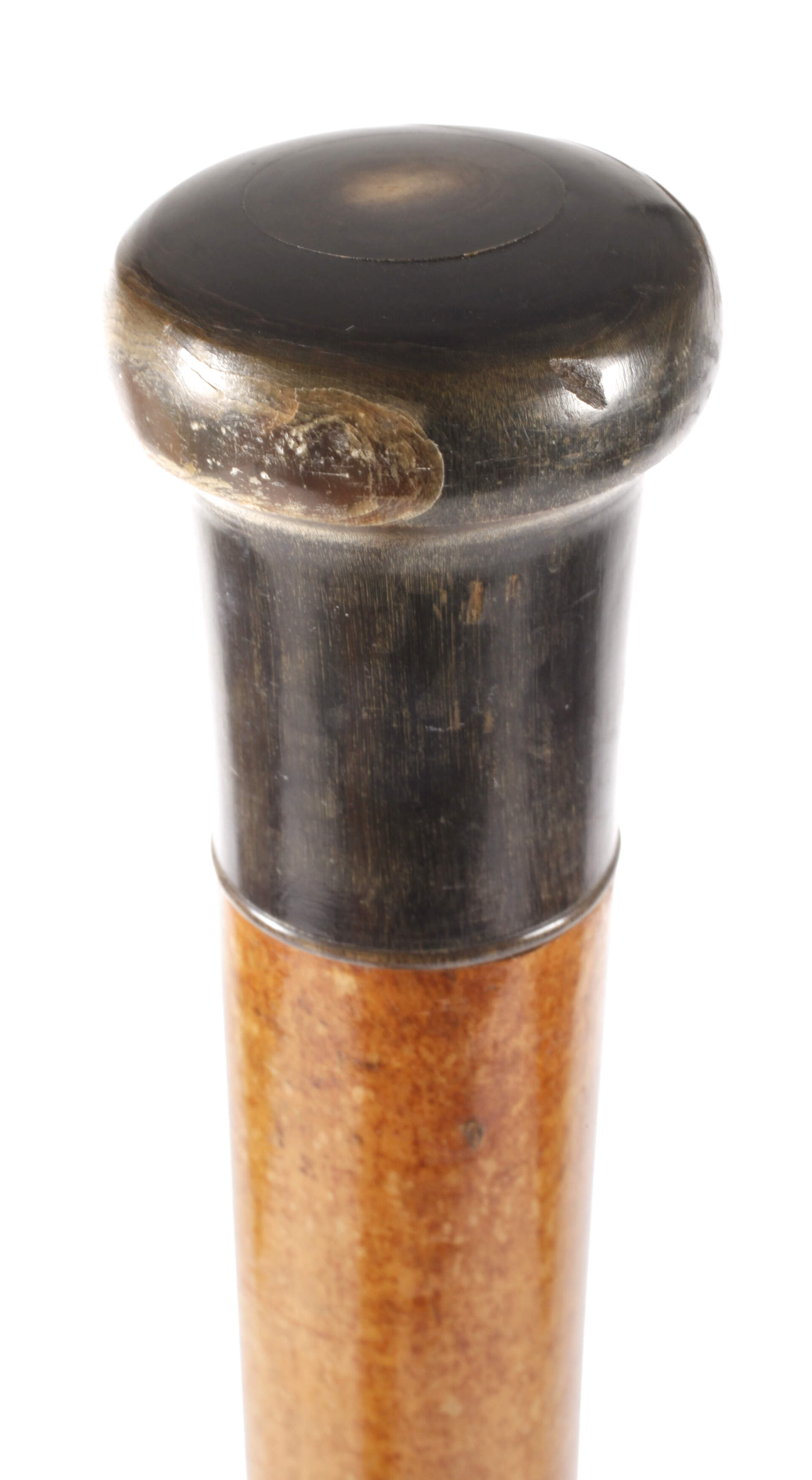 Spazierstock Horn