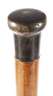Spazierstock Horn