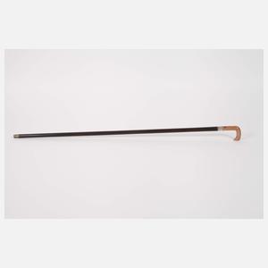 Feiner Spazierstock