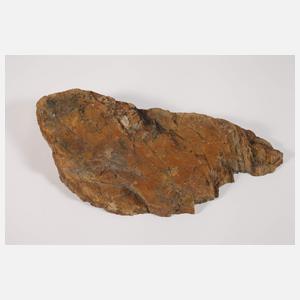 Versteinertes Holz