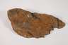 Versteinertes Holz