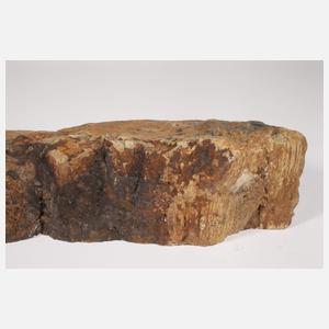 Versteinertes Holz