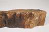 Versteinertes Holz