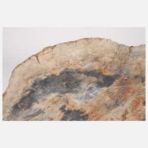 Versteinertes Holz