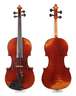 Violine Dehommais & Germain