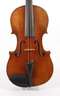 Violine Mathias Heinicke