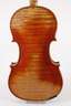 Violine Michael Strobl