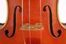 Violine Michael Strobl