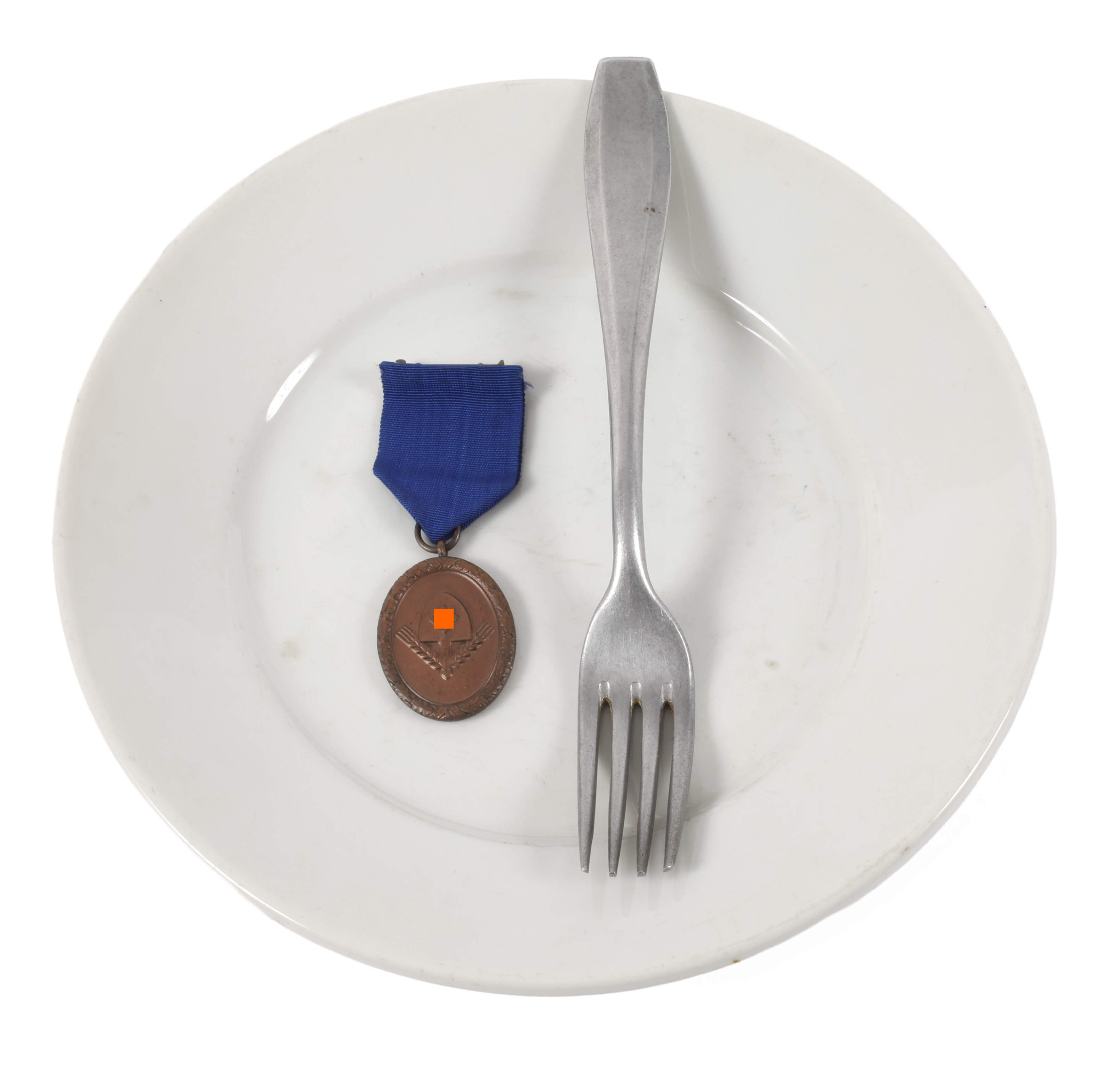 Konvolut Reichsarbeitsdienst