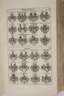 Wappen-Buch 1696