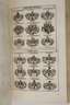 Wappen-Buch 1696