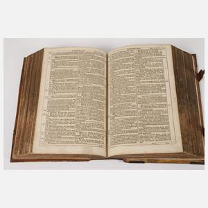 Dilherr-Bibel 1733
