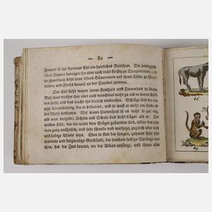 Der geöffnete Thiergarten 1823