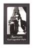 Helmut Newton, Foto Lagerfeld