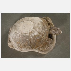 Gartenskulptur Schildkröte