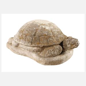 Gartenskulptur Schildkröte