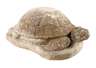 Gartenskulptur Schildkröte