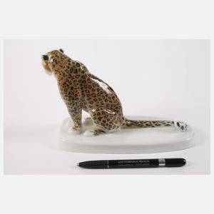 Meissen "Leopard"