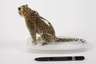 Meissen "Leopard"