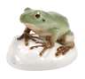 Nymphenburg "Laubfrosch"