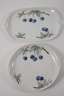 Rosenthal umfangreiches Teeservice "Donatello"