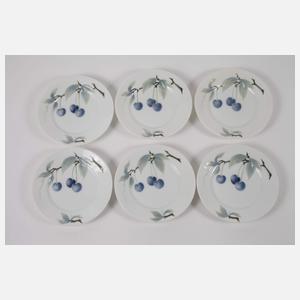 Rosenthal 16 Dessertteller "Donatello"