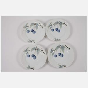 Rosenthal 16 Dessertteller "Donatello"