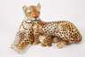 Giovanni Ronzan Familie Leopard
