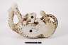 Giovanni Ronzan Familie Leopard