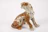 Giovanni Ronzan Familie Leopard